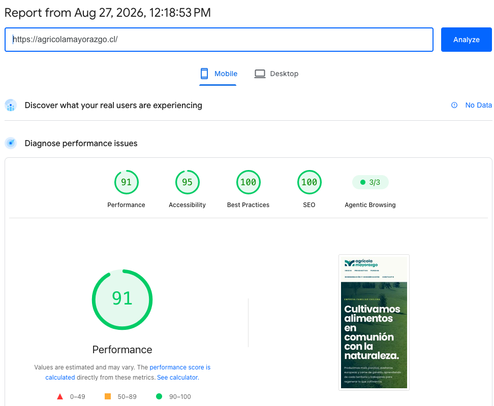 Historical Agrícola Mayorazgo mobile PageSpeed report; results are explained in the adjacent text.
